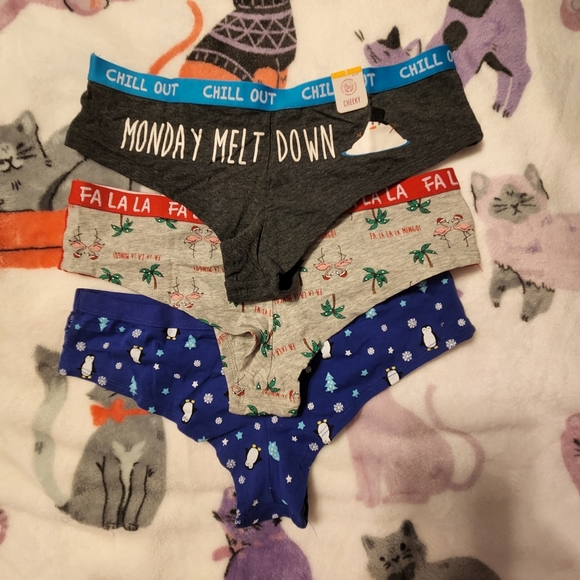 3 Pairs of Cheeky Holiday Panties - Picture 3 of 9